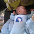 IMAG0769.jpg