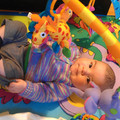 IMAG0794.jpg