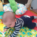 IMG_20130405_160626.jpg
