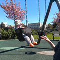 IMG_20130420_143045.jpg