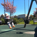 IMG_20130420_143050.jpg