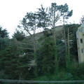 DSCF0029.JPG