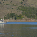 P1000754.JPG