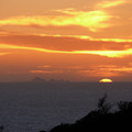 P1000788.JPG