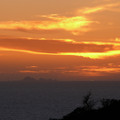 P1000789.JPG