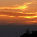 P1000790.JPG