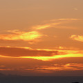 P1000791.JPG