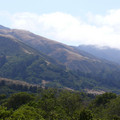 P1000100.JPG
