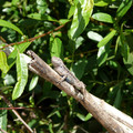 P1000103.JPG