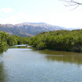 P1000109.JPG