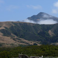 P1000119.JPG