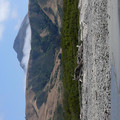 P1000122.JPG