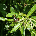 P1000137.JPG