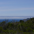 P1000142.JPG