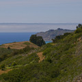 P1000147_lzn.jpg