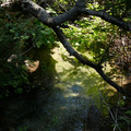 P1000150.JPG