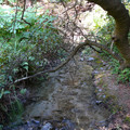 P1000151.JPG