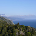 P1000196.JPG