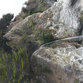 P1000210.JPG