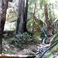 P1000237.JPG