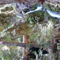 P1000239.JPG