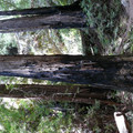 P1000240.JPG