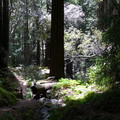 P1000244.JPG