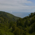 P1000246_lzn.jpg