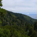 P1000247.JPG