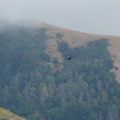 P1000264.JPG