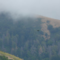 P1000265.JPG