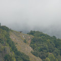 P1000266.JPG