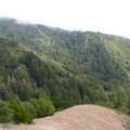 P1000277.JPG
