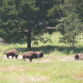P1000315.JPG