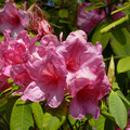 P1000318.JPG