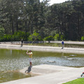 P1000332.JPG