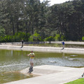 P1000333.JPG