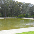 P1000334.JPG