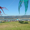 DSCN0001_5.JPG