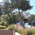 DSCN0008.JPG