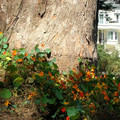DSCN0015.JPG
