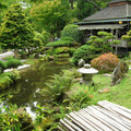 DSCN0029.JPG