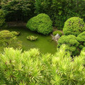 DSCN0030.JPG