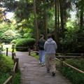DSCN0031.JPG