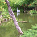 DSCN0036.JPG