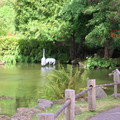 DSCN0037.JPG