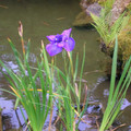 DSCN0038.JPG