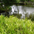 DSCN0040.JPG