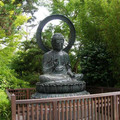 DSCN0043.JPG