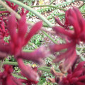DSCN0046.JPG